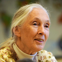 Jane Goodall