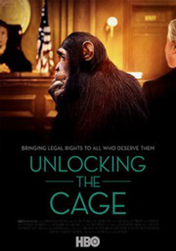 Unlocking the cage